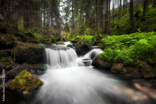 Fototapeta Naklejka Na Ścianę i Meble -  Amazing waterfall flowing between large rocks in a deep green forest at Low Tatras National park, Slovak Republic.