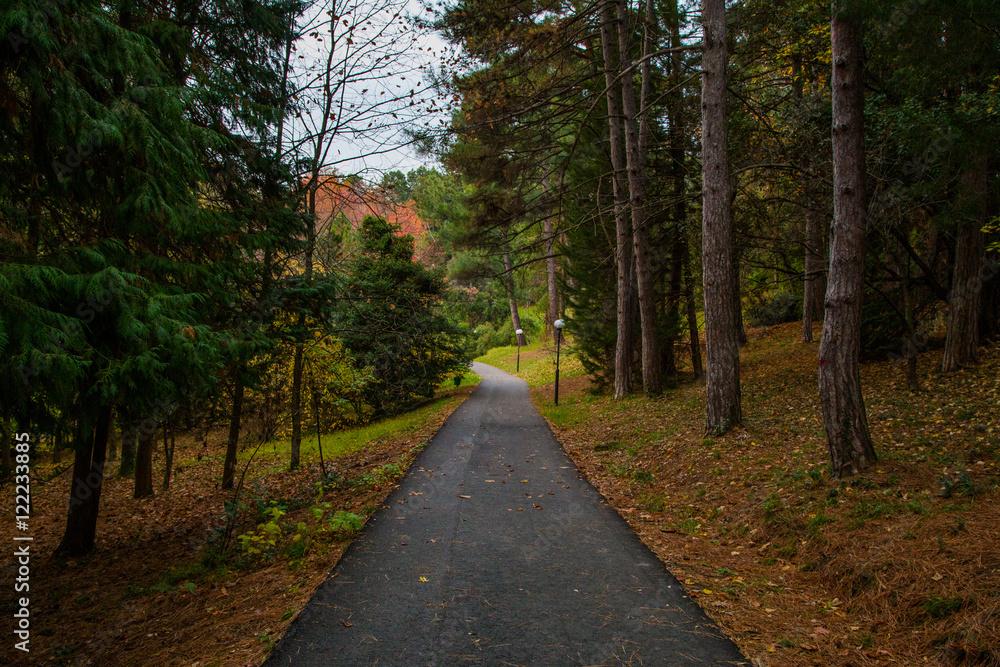 Naklejka premium парк