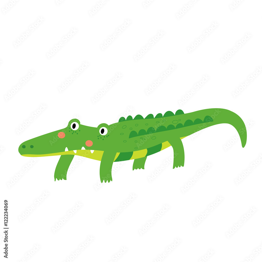 Fototapeta premium An alligator cartoon character. Isolated on white background. Vector illustration.