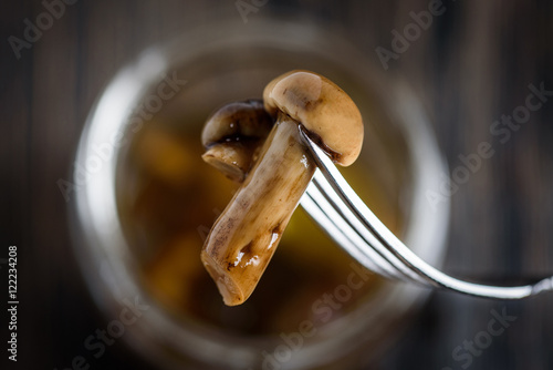 Little honey agaric mushroom, impaled on a metal fork. Against the background of wooden