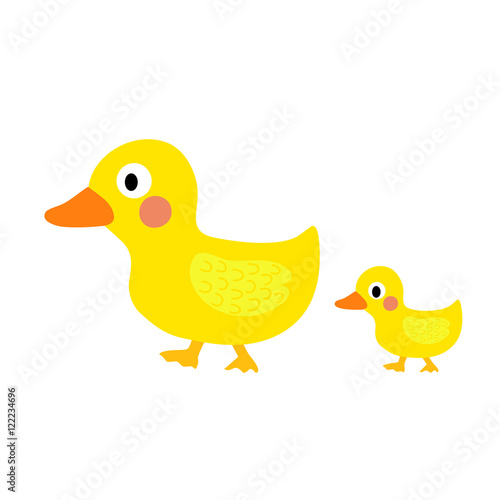 Duck and little duck animal cartoon character. Isolated on white background. Vector illustration.