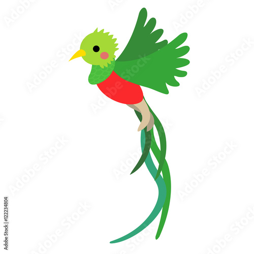 Flying Quetzal bird animal cartoon character. Isolated on white background. Vector illustration. photo