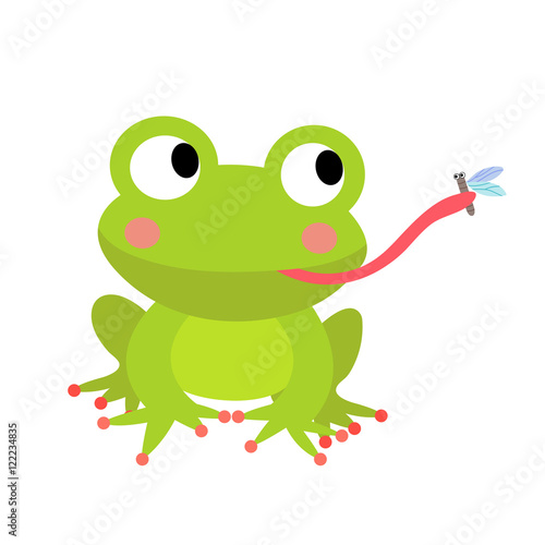 Frog eating fly animal cartoon character. Isolated on white background. Vector illustration.