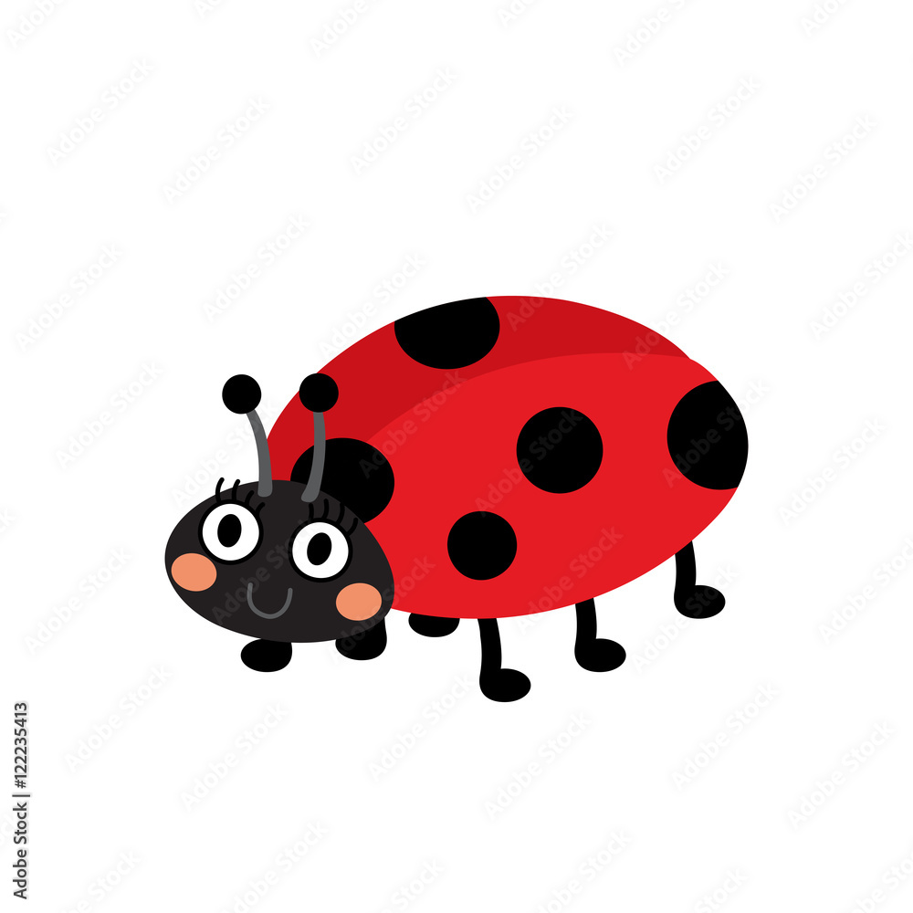 Ladybird animal cartoon character. Isolated on white background. Vector illustration. Ladybird animal cartoon character. Isolated on white background. Vector illustration.