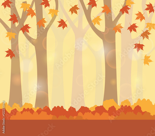 Autumn season background with colored maple leaves tree and bokeh effect. Flat design for business financial marketing banking sale advertisement concept illustration.