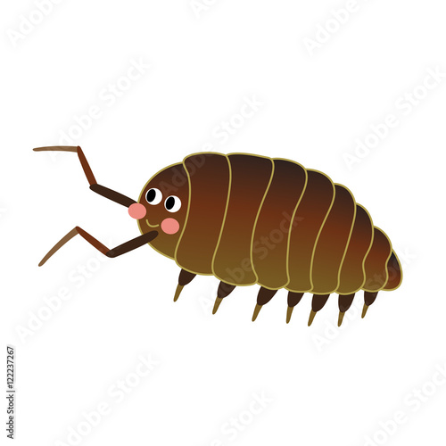 Woodlouse animal cartoon character. Isolated on white background. Vector illustration.