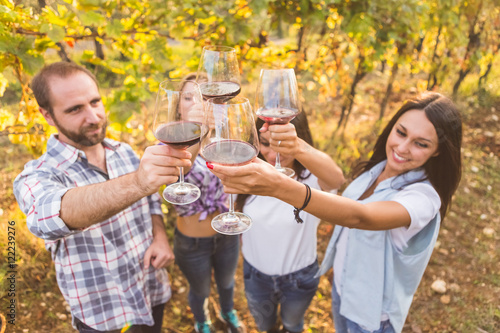 Friends standing and toasting with wine in an Italian vineyard