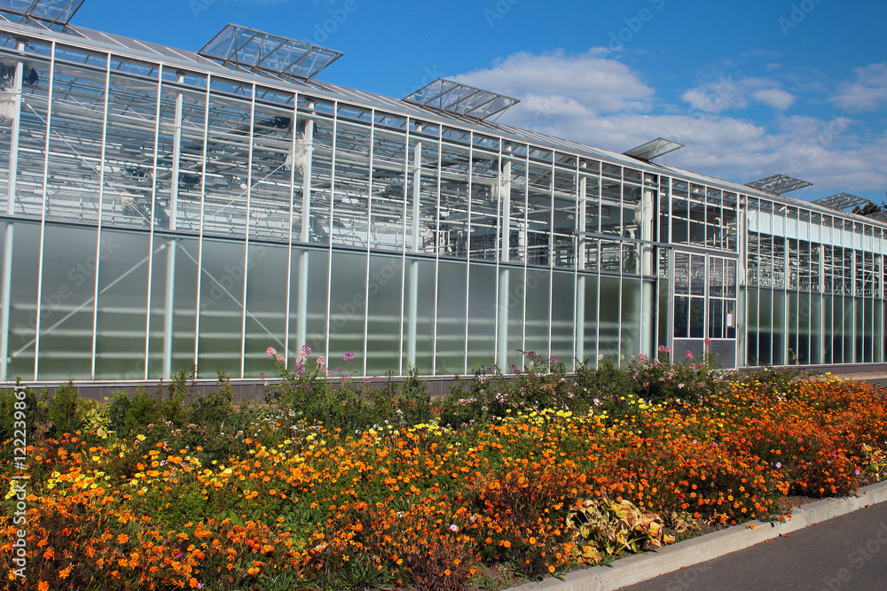Large glass greenhouse with a flowerbed Large glass greenhouse with a flowerbed
