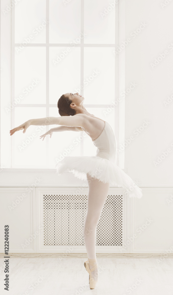 Beautiful ballerine dance in ballet position Beautiful ballerine dance in ballet position