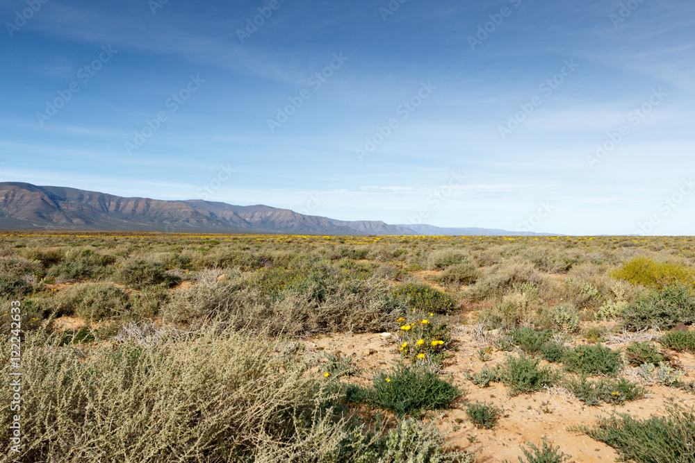 Blue skies that leads to nothing in Tankwa Karoo