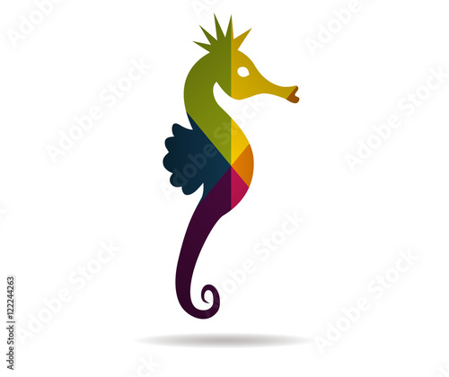 seahorse multicolor icon vector