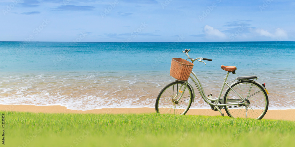 Fototapeta premium Bicycles on the green grass