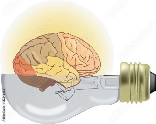 cervello illuminato,