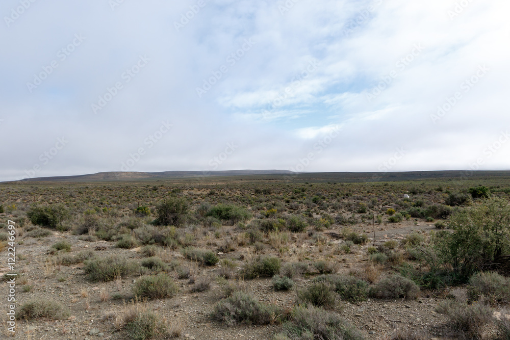 In The Dry Karoo - Fraserburg Landscape In The Dry Karoo - Fraserburg Landscape