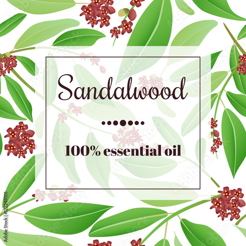 Sandalwood essential oil