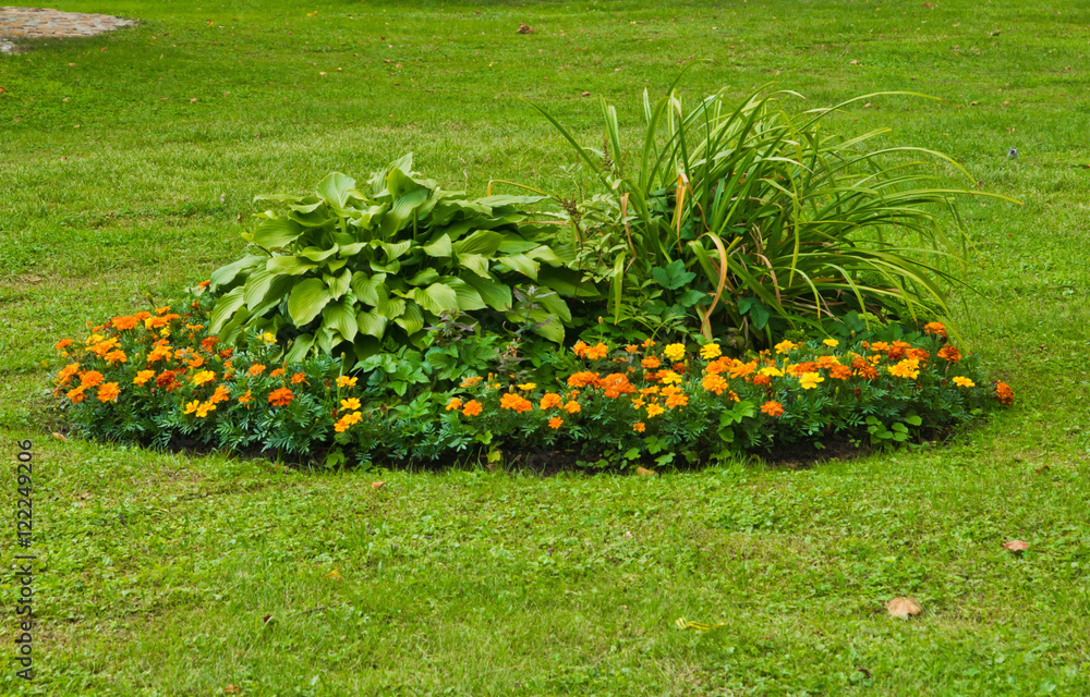 beautiful flower bed