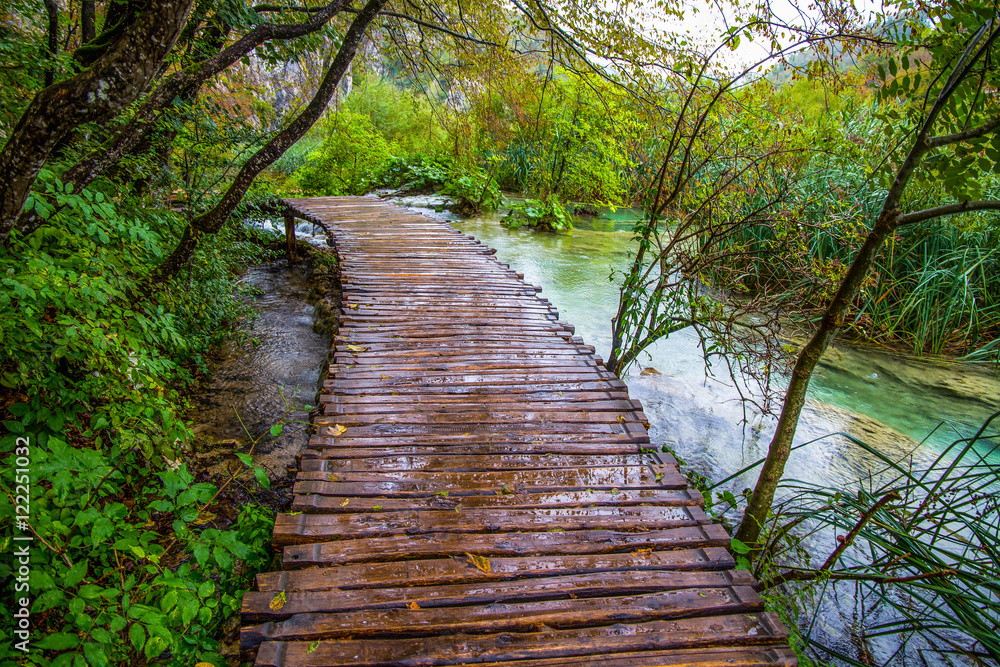 Deep forest stream. Crystal clear water. Plitvice lakes, Croatia Deep forest stream. Crystal clear water. Plitvice lakes, Croatia