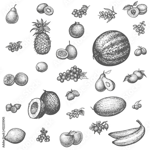 Sketch doodle hand-drawn set fruit