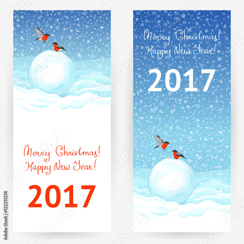 Festive winter backgrounds with snow and bullfinches