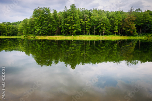 Allegany State Park