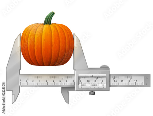 Horizontal caliper measures pumpkin fruit. Concept of winter squash and measuring tool. Vector illustration for agriculture, vegetables, cooking, halloween, gastronomy, thanksgiving, olericulture, etc