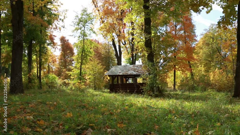 Old park in autumn Old park in autumn