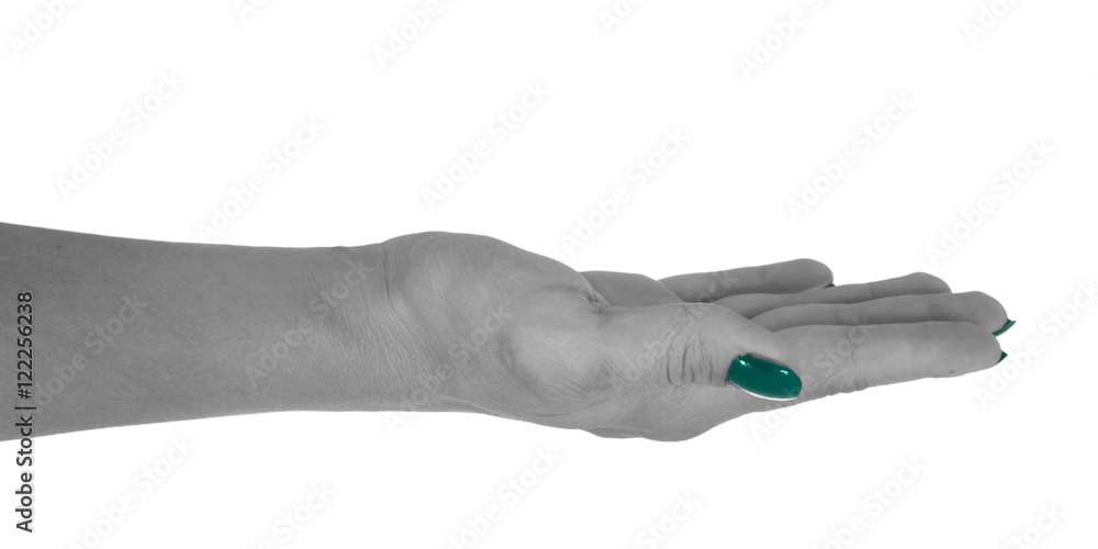 Open hand holding anything, natural woman's skin, cyan manicure. Isolated on white background Open hand holding anything, natural woman's skin, cyan manicure. Isolated on white background