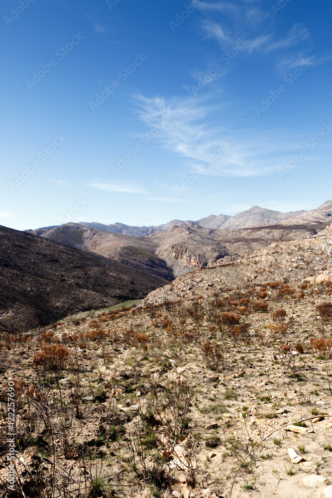 Empty but life - Swartberg Nature Reserve Empty but life - Swartberg Nature Reserve