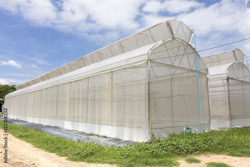 Greenhouse melon farm on blue sky background Greenhouse melon farm on blue sky background