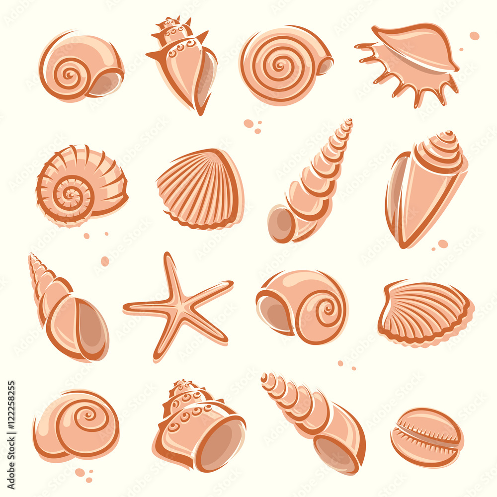 Seashells set. Vector Seashells set. Vector