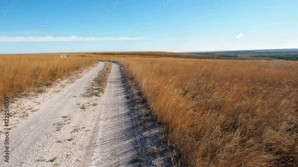 Chulky white road through a field of golden grass at sunlight. Camera slowly moves from left to right shows a meadow of dry grass. Blue sky on horizon Chulky white road through a field of golden grass at sunlight. Camera slowly moves from left to right shows a meadow of dry grass. Blue sky on horizon
