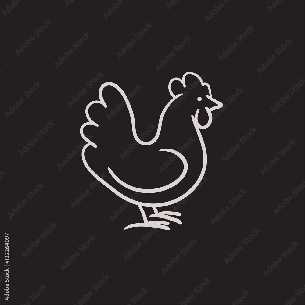 Chicken sketch icon. Chicken sketch icon.