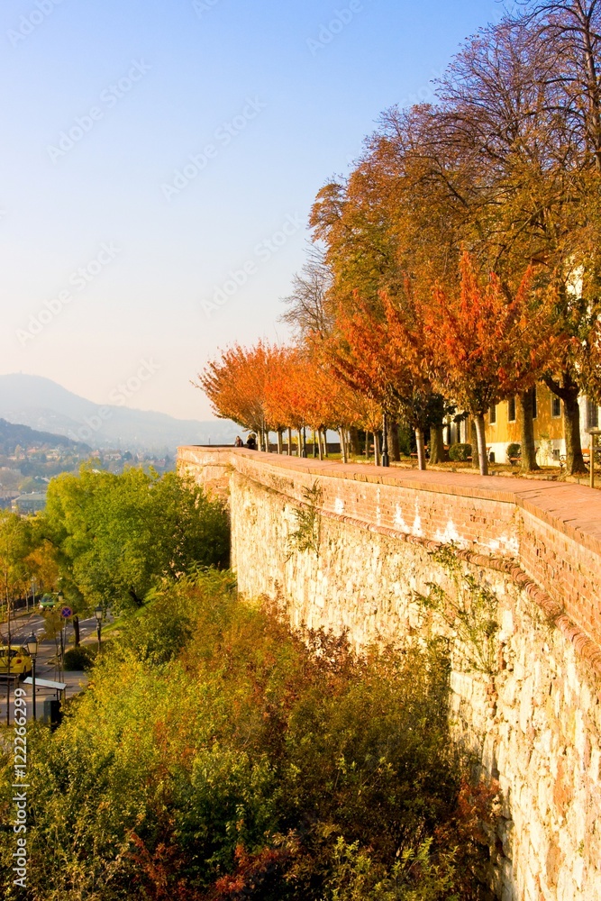 Obraz premium autumnal walkway with chestnut trees at Castle of Budapest