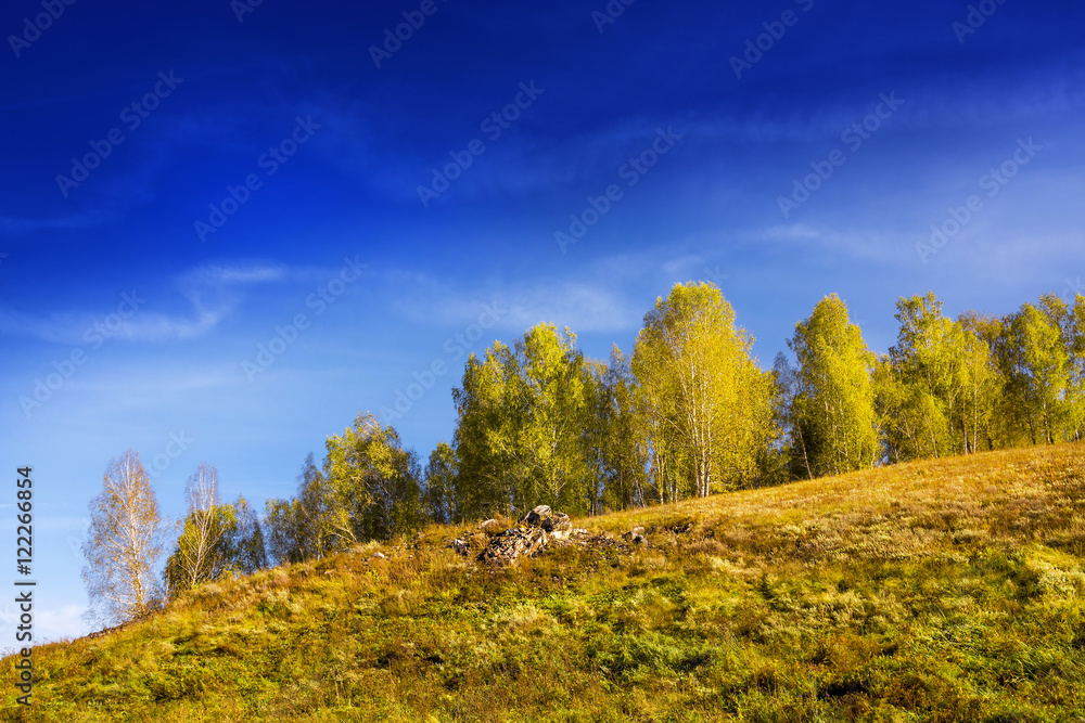 Fototapeta premium Autumn landscape with rocky mound