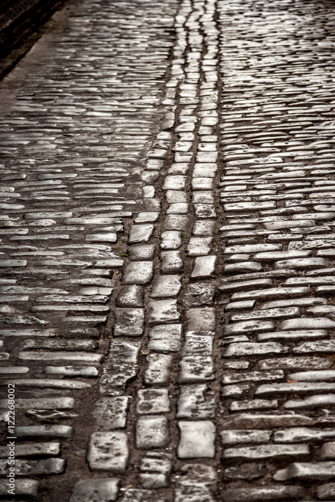 Fototapeta premium Cobblestone street in Charleston, SC