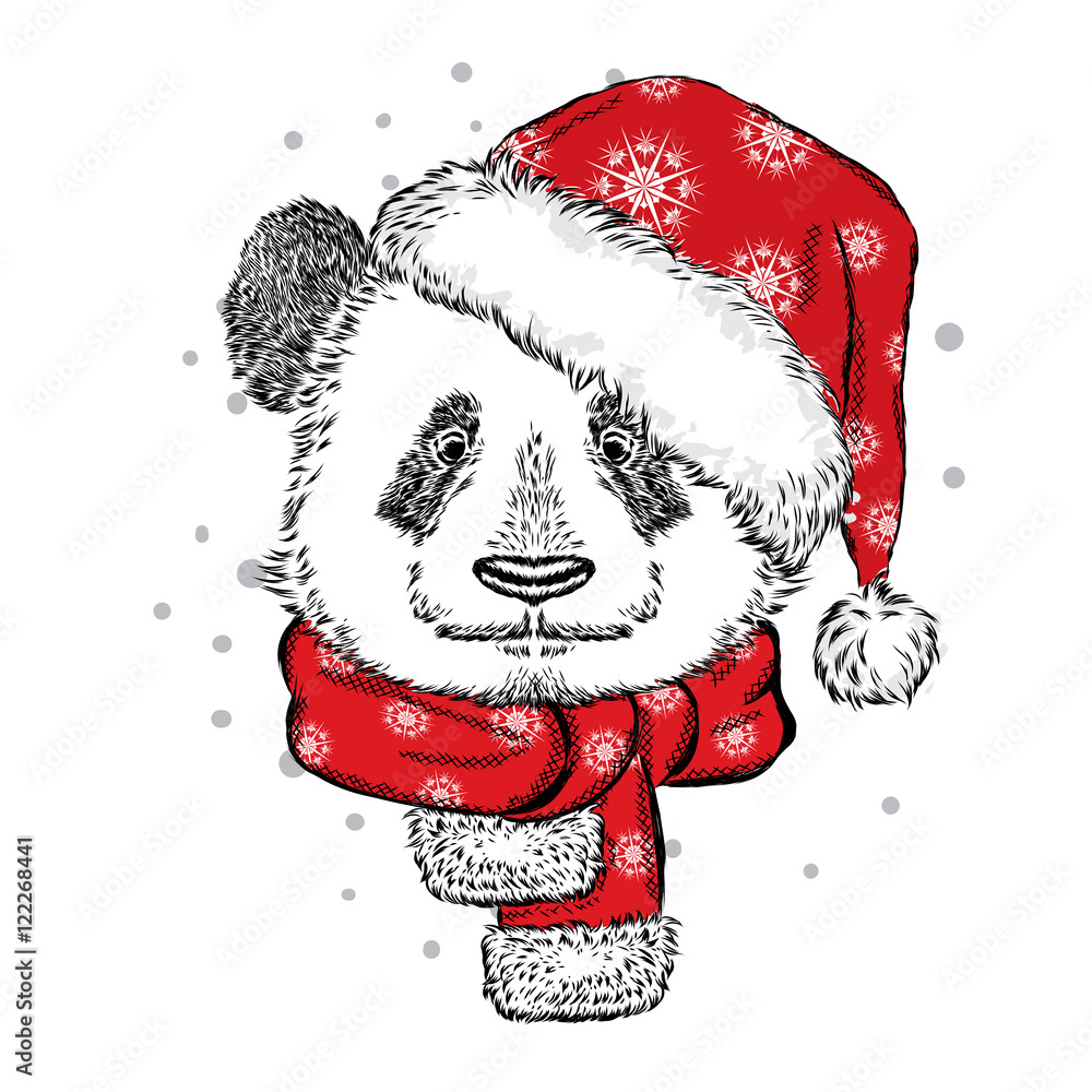 Fototapeta premium Panda Christmas hat and scarf. Vector illustration for greeting card, poster, or print on clothes. Christmas and New Year. Winter.