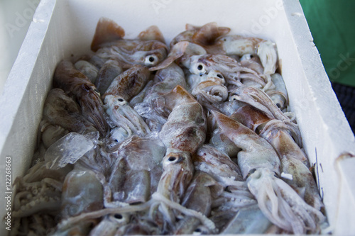 Fresh fish and shellfish in Cambrils Harbor, Tarragona, Spain. photo