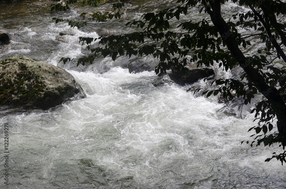 The mountain river The mountain river