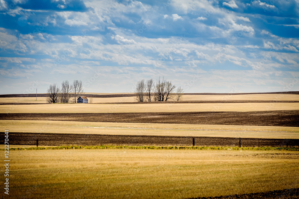 Fototapeta premium outdated barn and fields, Saskatchewan, Canada