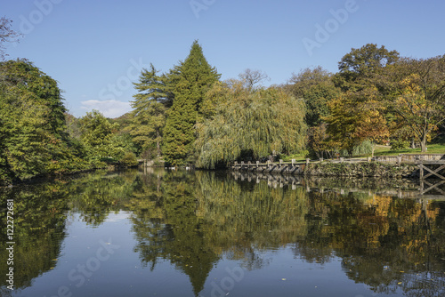 reflection of trees on lake in autumn