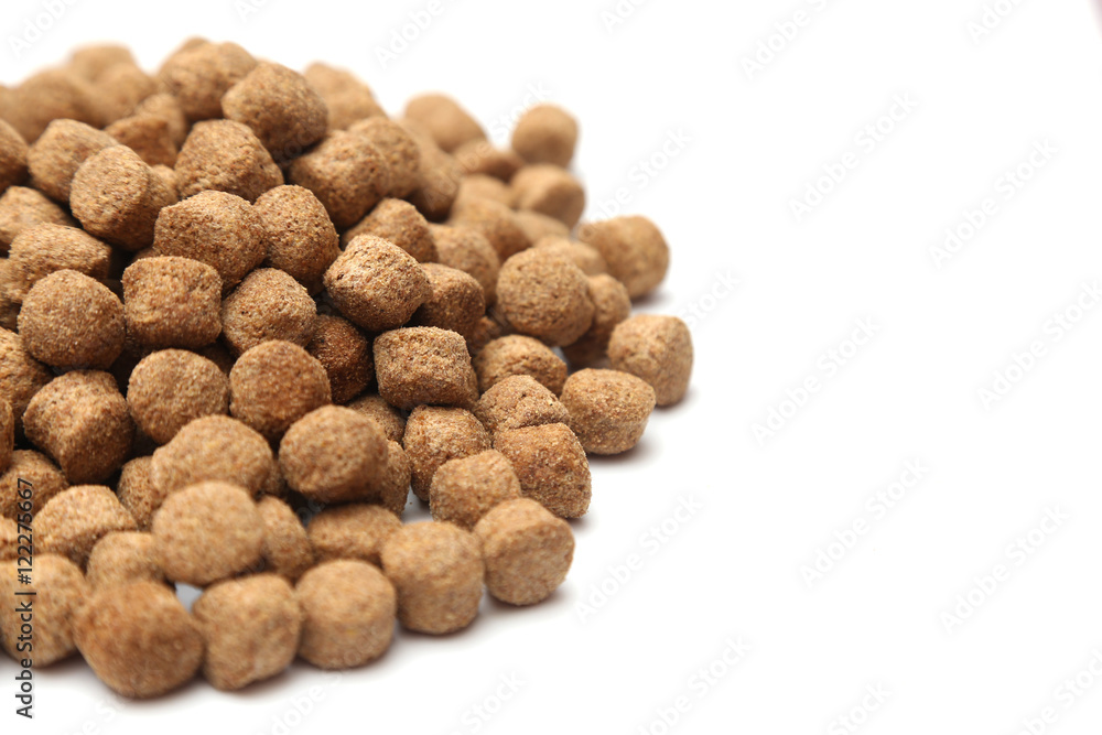 A pile of dog food isolated on a white background A pile of dog food isolated on a white background