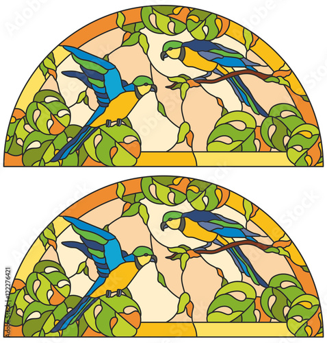 stained glass window parrot
