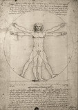 Zeichnung Leonardo da Vinci