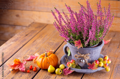 Autumn decoration with erica and pumpkin on old rustic wood photo