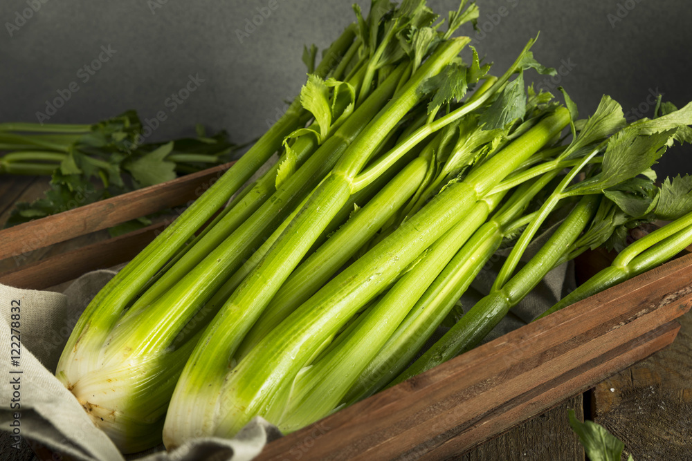 Obraz premium Raw Organic Green Celery Stalks