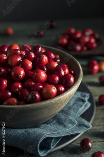 Raw Organic Red Cranberries