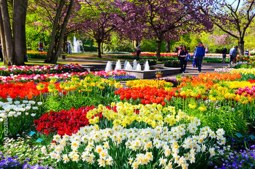 Blooming flowers in Keukenhof park in Netherlands, Europe. photo