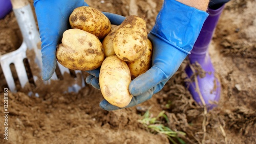 Wallpaper Mural Человек копает картофель Torontodigital.ca