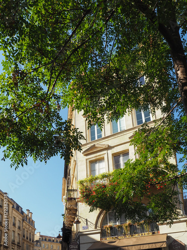 Cafe and Tree near Porte Cailhau  Palace Gate  in Bordeaux