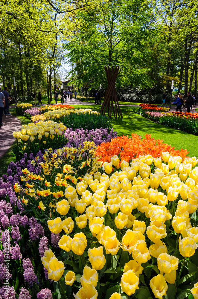 Blooming flowers in Keukenhof park in Netherlands, Europe. Blooming flowers in Keukenhof park in Netherlands, Europe.
